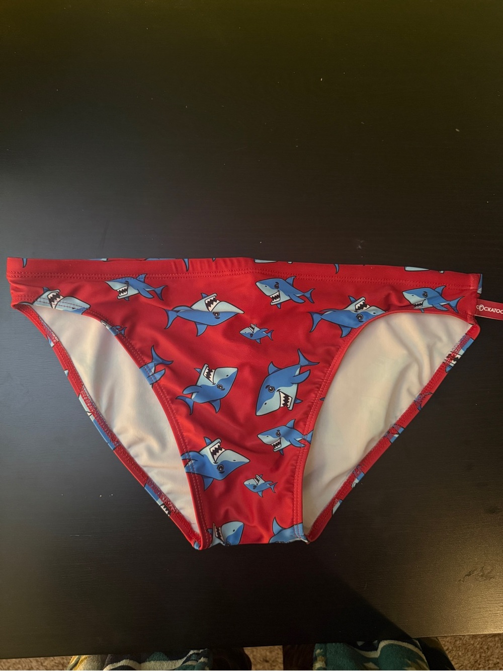 AussieBum Men’s Swim Brief Large